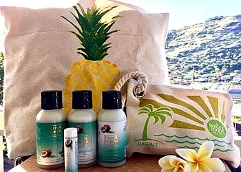 ハワイ不動産 物件視察ツアー特典